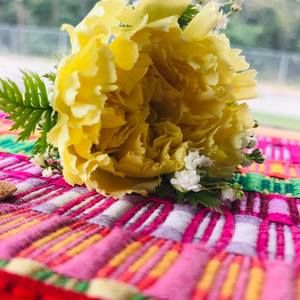 Meet your Posher, Ria